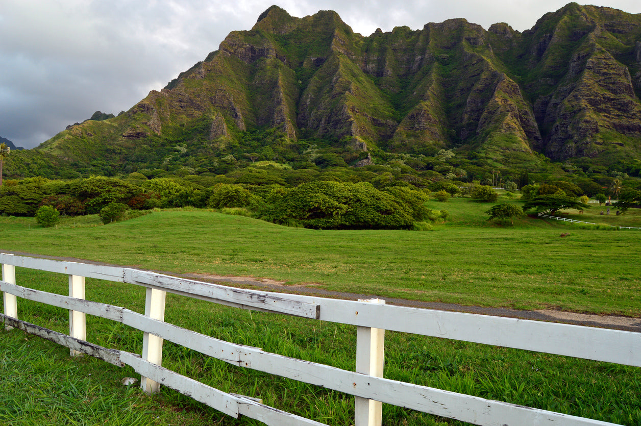 History of Ranching in Hawaii: Pre-Contact and Post-Contact